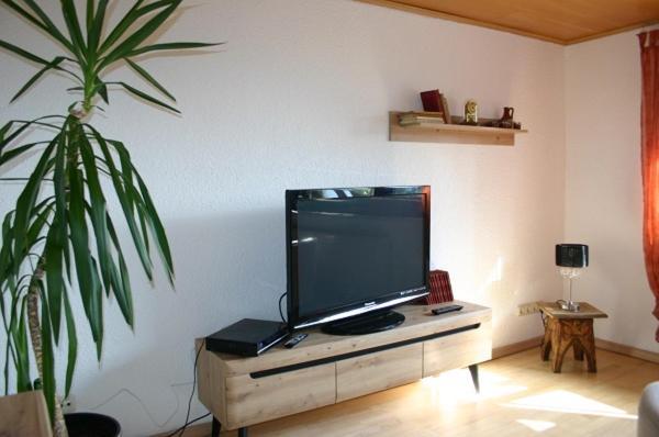 Traudi'S Huesing Daire Born Dış mekan fotoğraf